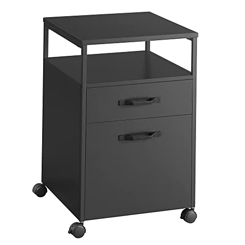 Cabinet de Fisiere  cu 2 Sertare, Negru, VASAGLE