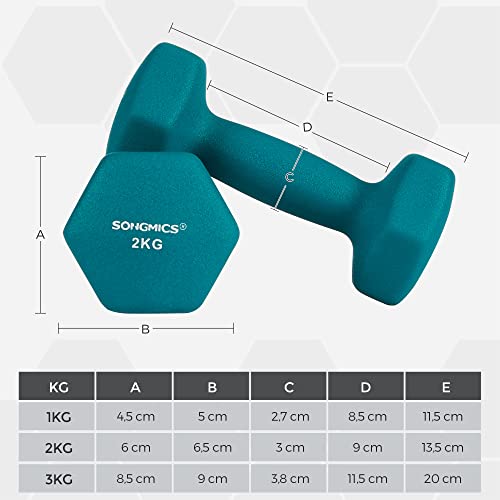 Set de gantere hexagonale  cu suport - 2 x 1 kg, 2 x 2 kg, 2 x 3 kg, finisaj mat din neopren, gantere de mana pentru exercitii acasa, lime, teal si gri inchis SONGMICS