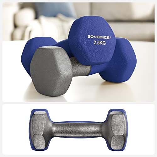 Set de 2 gantere , 2 x 2,5 kg, gantere nealunecatoare din neopren cu finisaj mat, antrenament acasa, exercitii de fitness, albastru SONGMICS