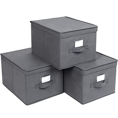 Set  de 3 Cutii de Depozitare Pliabile cu Capac, Cuburi din tesatura cu Suporturi pentru Etichete, Organizatoare pentru Cutii de Depozitare, 40 x 30 x 25 cm, Gri SONGMICS