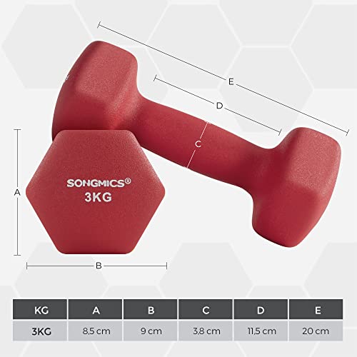 Set de 2 gantere , 2 x 3 kg, gantere nealunecatoare din neopren cu finisaj mat, antrenament acasa, exercitii de fitness, rosu SONGMICS