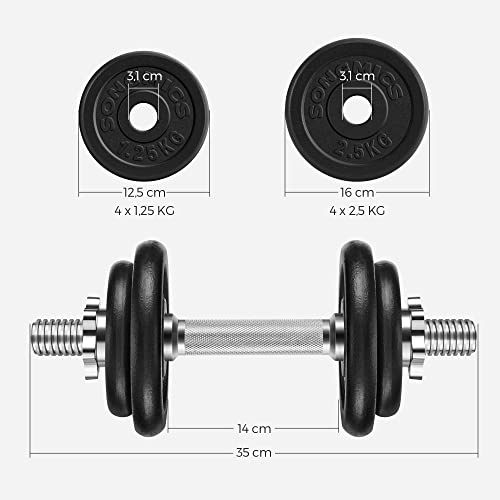 Gantere din fonta , bare de gantere cu striuri si discuri cu stea, set de 2 de 20 kg SONGMICS