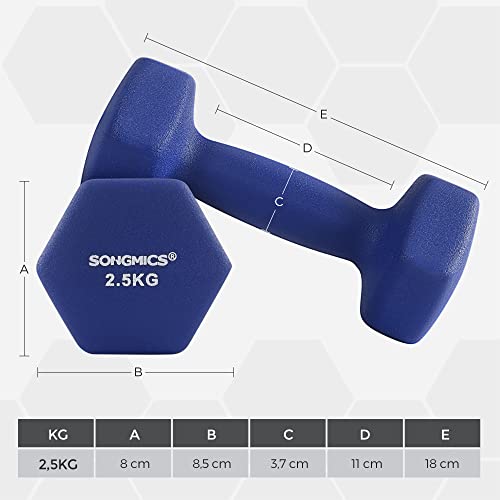 Set de 2 gantere , 2 x 2,5 kg, gantere nealunecatoare din neopren cu finisaj mat, antrenament acasa, exercitii de fitness, albastru SONGMICS