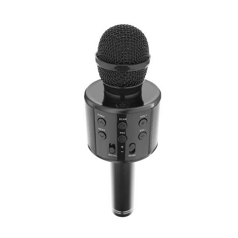 Microfon Karaoke Fara Fir - Argintiu