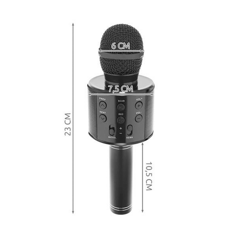 Microfon Karaoke Fara Fir - Argintiu